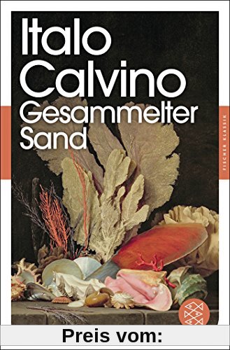 Gesammelter Sand: Essays (Fischer Klassik)